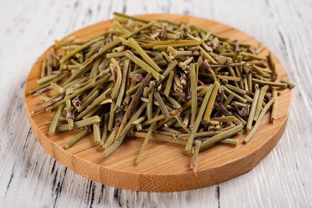 Ephedra