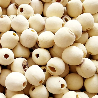 best lotus seeds for sale - OkayHerb